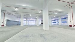 Pioneer Road (D22), Warehouse #573661011